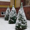 dsc04901